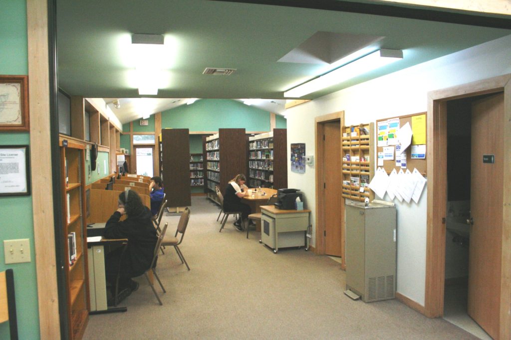 Young people use computers at Bronson Public Library.