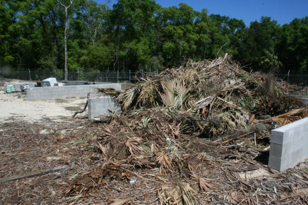 Limbs-and-yard-trash-are-dumped-at-this-location-at-8-Mile-Hill.-Residents-love-it-3-19-20-scaled.jpg