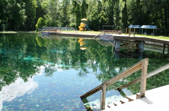 Blue Springs Park north of Bronson off U.S. 27A is a bowl shaped swimming area with steps reaching into the water, a jumping off dock and pavilions and a sidewalk surrounding the water. It will reopen Monday, June 1 with new rules and regulations.