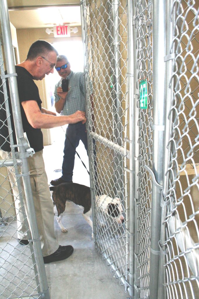 Bob Echols introduces a friendly bulldog to her future home in the new shelter. She sniffed everything and decided she wanted to go back out and greet visitors.