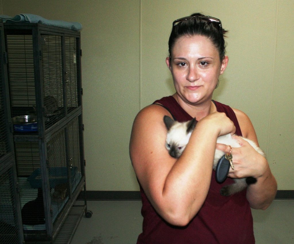 Bronson Deputy Town Clerk Melisa Cook adopted a Siamese kitten for her children.