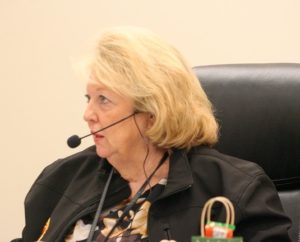 City Manager Jackie Gorman said she would first contact county government officials to find out their view of a city park that is located in the unincorporated part of the county.