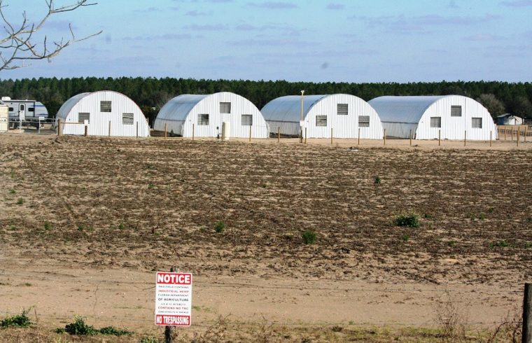 Central Flora Farms. LLC consists of four greenhouses constructed next to a plowed field along SE 160th Ave. in Morriston. A small RV is parked next to the greenhouses. Attempts by Spotlight to contact the owners haven't been successful. One of the homes along SW 165th Ave can be seen in the lower right corner.