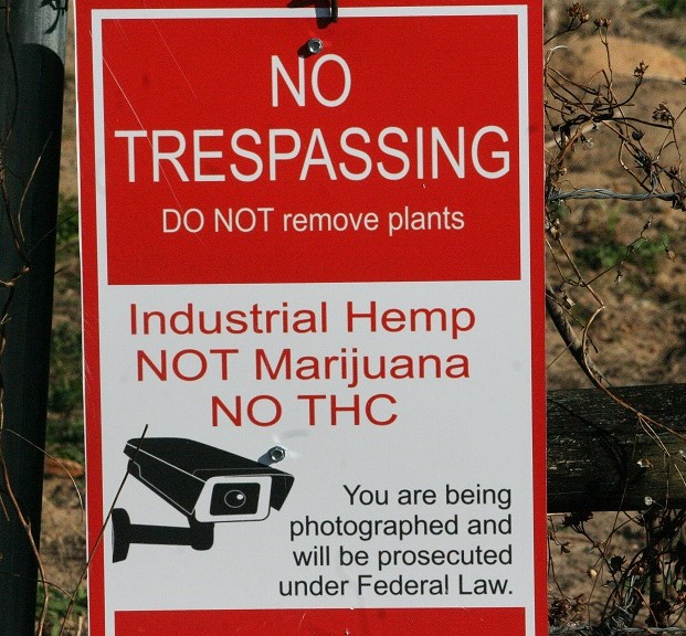 One of the signs at the entrance to Central Flora Farms warns visitors that the property is off limits and security cameras are in operation. It says the hemp being grown has no THC.