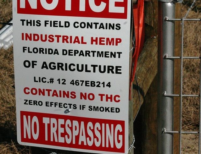 The second sign at the entrance to Central Flora Farms provides the business license number registered with the Florida Department of Agriculture and notes that industrial hemp is being grown on the property that contains no THC.