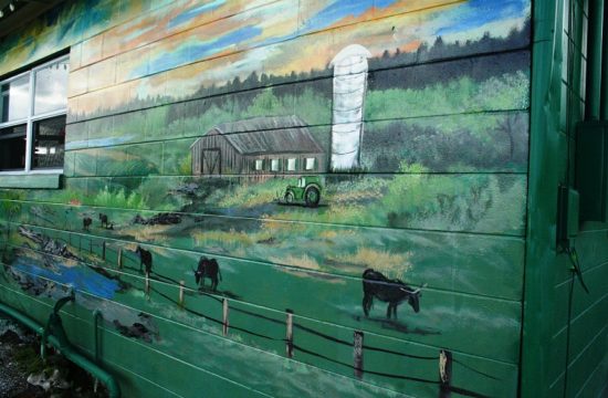 Photo by Terry Witt: This beautiful wall mural on the Green Shutters Restaurant depicting cattle grazing in a pasture has drawn considerable city attention in Williston.