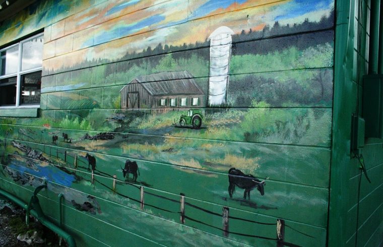 Photo by Terry Witt: This beautiful wall mural on the Green Shutters Restaurant depicting cattle grazing in a pasture has drawn considerable city attention in Williston.