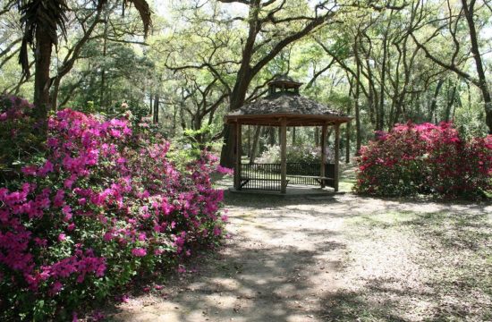 One of the first sights to greet visitors are the azalea bushes surrounding the gazebo