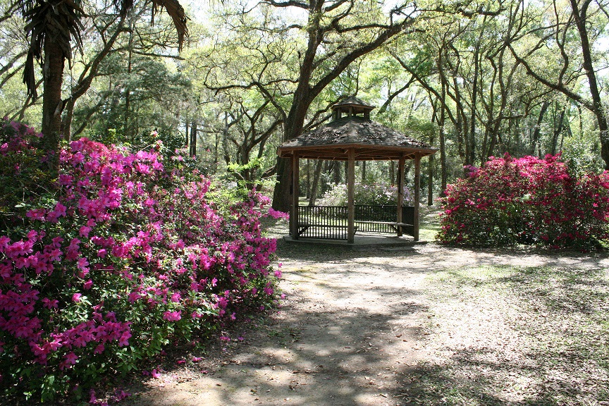 One of the first sights to greet visitors are the azalea bushes surrounding the gazebo