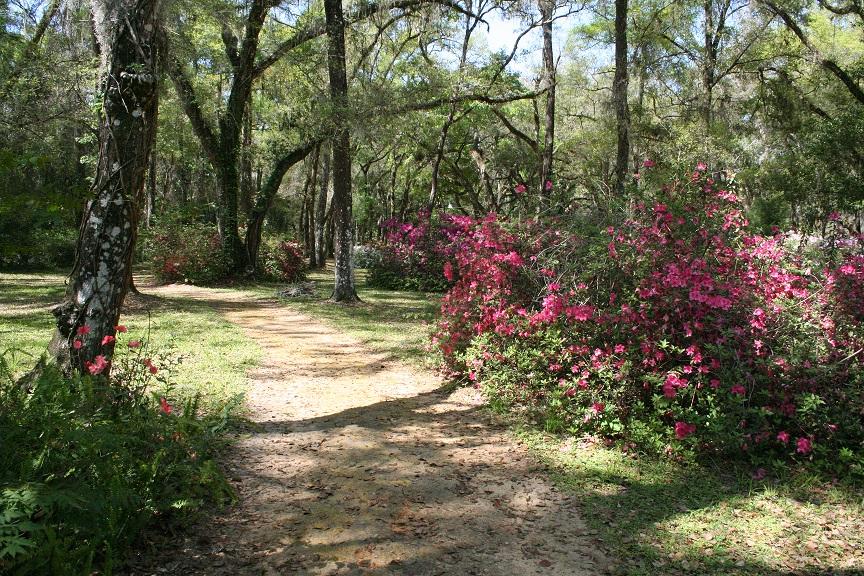 This is the view of the handicap ramp that leads to the edge of the park and the gazebo. It isn't well marked.