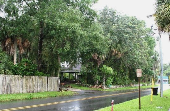 Family Dollar Tree hopes to build a convenience store on the property shown here bordering Picnic Street. The Bronson Town Council has rezoned the property commercial and granted the company a variance for a reduced number of store parking spaces. The Levy County Historical Society has filed suit challenging the town's approval of the project.