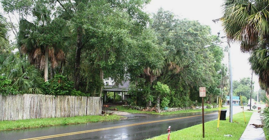 Family Dollar Tree hopes to build a convenience store on the property shown here bordering Picnic Street. The Bronson Town Council has rezoned the property commercial and granted the company a variance for a reduced number of store parking spaces. The Levy County Historical Society has filed suit challenging the town's approval of the project.