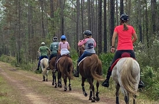 A line of horse riders walk their steeds single file down a road during dog hunting season. One rider bringing up the rear is wearing a pink top. Commissioner Rock Meeks said as far as he knows, during dog hunting season, everyone must wear orange vests. This photo was taken during dog hunting season.