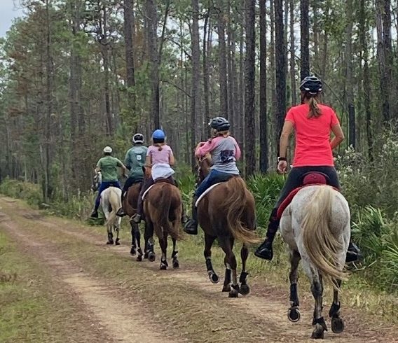 A line of horse riders walk their steeds single file down a road during dog hunting season. One rider bringing up the rear is wearing a pink top. Commissioner Rock Meeks said as far as he knows, during dog hunting season, everyone must wear orange vests. This photo was taken during dog hunting season.