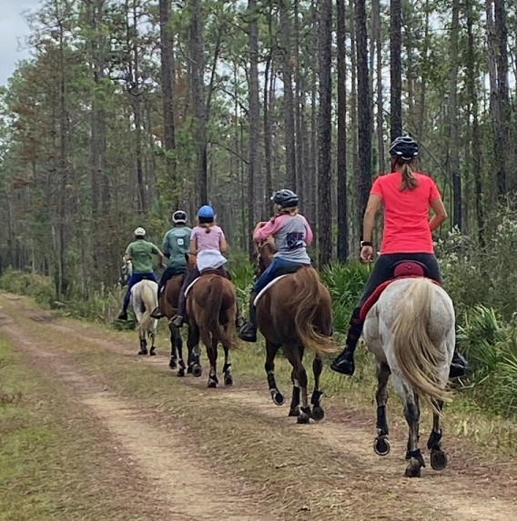 A line of horse riders walk their steeds single file down a road during dog hunting season. One rider bringing up the rear is wearing a pink top. Commissioner Rock Meeks said as far as he knows, during dog hunting season, everyone must wear orange vests. This photo was taken during dog hunting season.