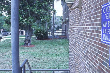 Levy County Commissioners are considering construction of an elevated sidewalk with a guardrail between the two courthouse entrances to improve handicap accessibility. There is concern about potentially losing the magnolia tree or the two palm trees to make the sidewalk possible. One option would be to build the sidewalk in a half circle around the magnolia.