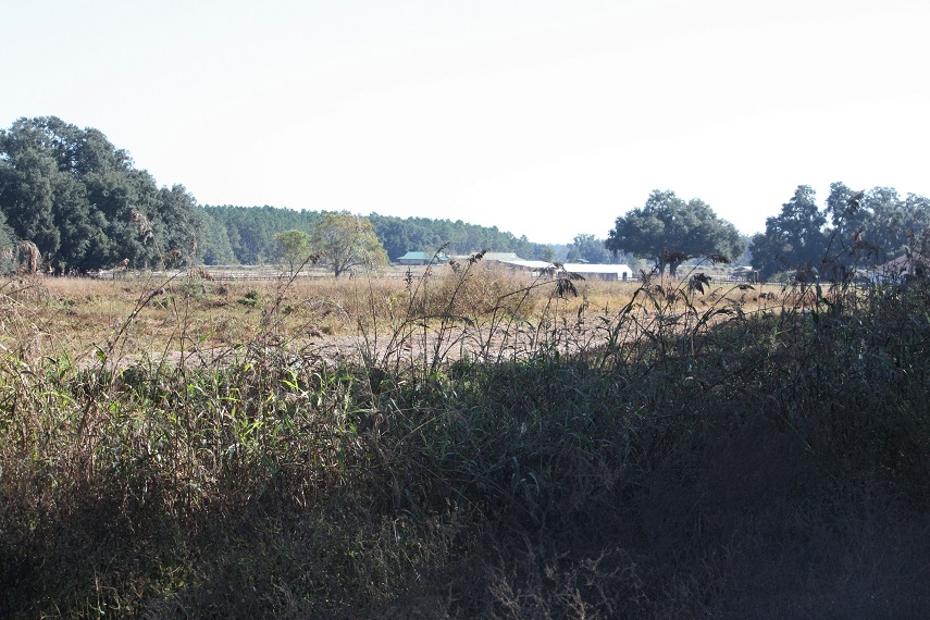 This second photo shows the same piece property on the Allen Fant farm on Nov. 1, 2022.