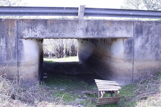 The county's concrete bridge culvert under CR 347 is big enough to allow a raging river to flow through it during times when "The Drain" forms. The Drain is a river that forms when aquifer levels are high.