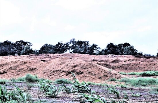 These windrows of horse stall waste at the Allen Fant composting site in Morriston aren't getting any smaller.