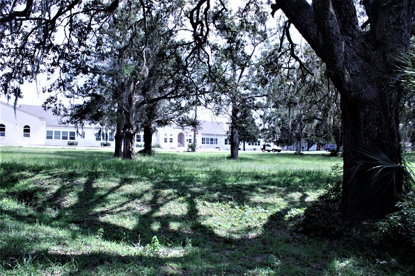 Live oak trees that shade much of the proposed Levy County Park would be preserved when the park is developed next door to the Levy County Government Center shown in the background. This photo also shows one of two natural drains that pass through the park site.