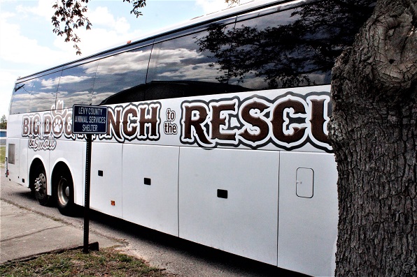 The Big Dog (and Little Dog) Ranch Rescue bus looked big parked next to the animal services building.